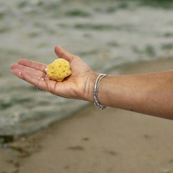 natural sea sponge