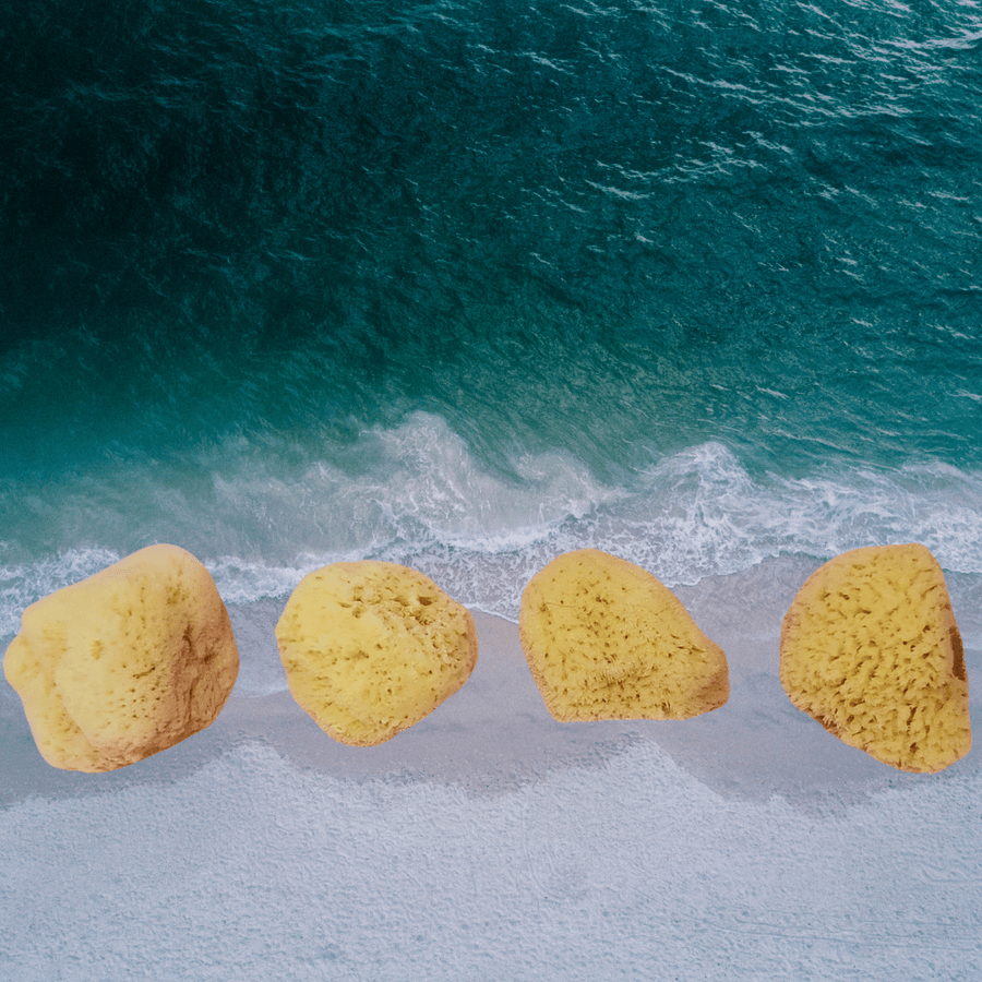 NATURAL SEA SPONGE - naturalskincare-australia