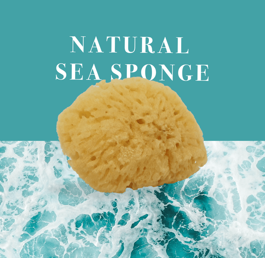 NATURAL SEA SPONGE - naturalskincare-australia