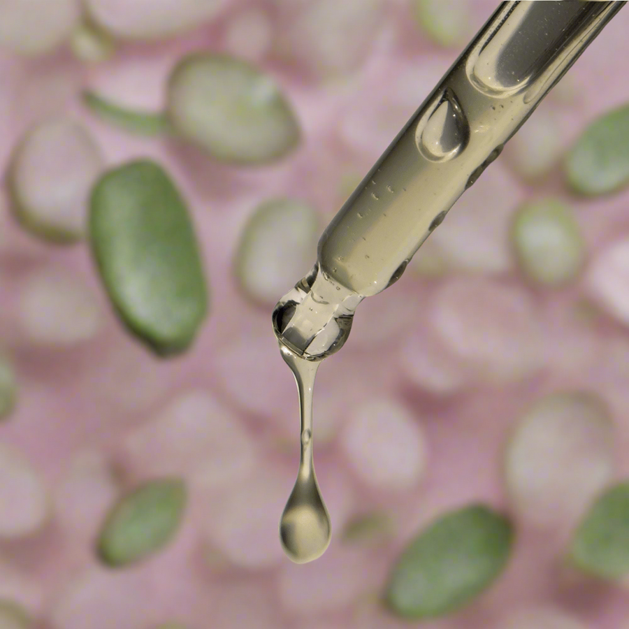 Skin Boost Serum / NOURISH - naturalskincare-australia